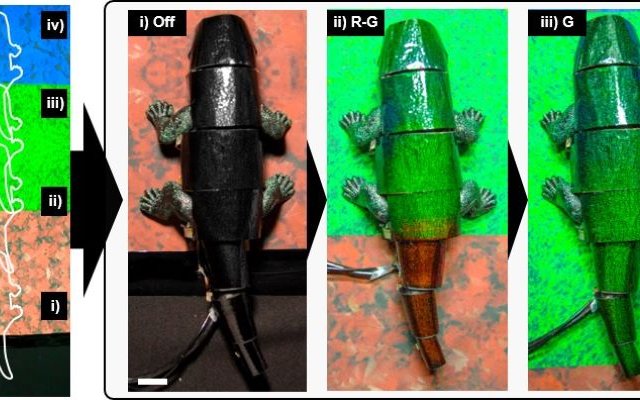 Robot đổi màu như tắc kè