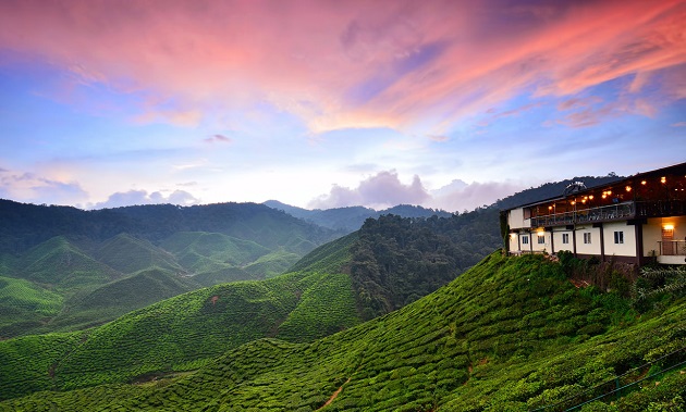 Cao nguyên Cameron Highlands